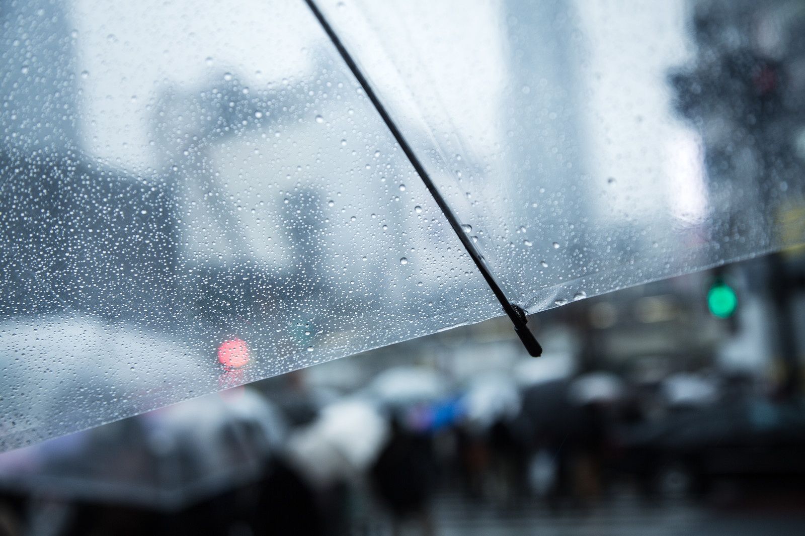 雨にまつわる言葉は約10種類 雨の日を楽しむために日本語の雨の表現を学ぶ てみたーず